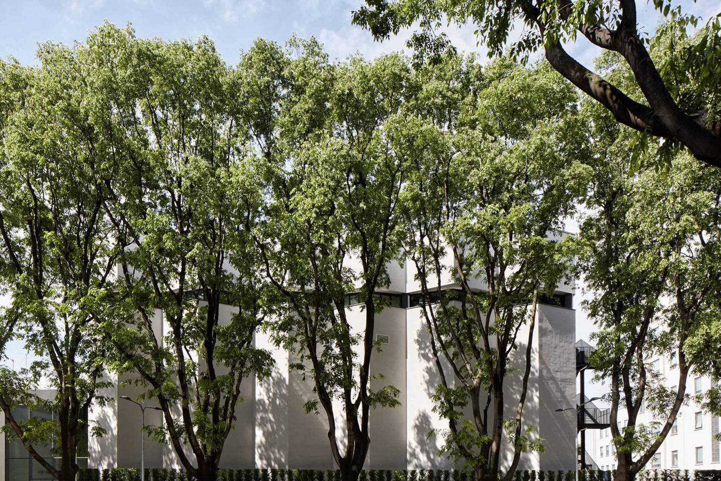 exterior image of armani silos building in milan with a row of green trees in front of a white building